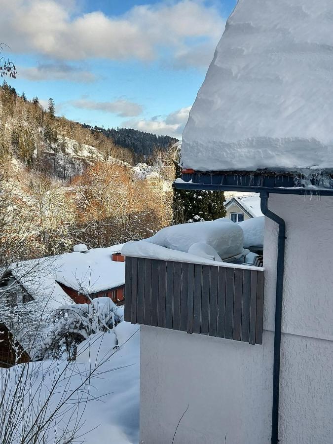 Ferienhaus Barbey Санкт-Блазиен Экстерьер фото